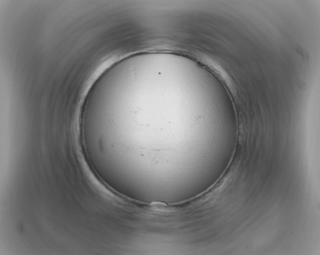 X0000114601483200911091307