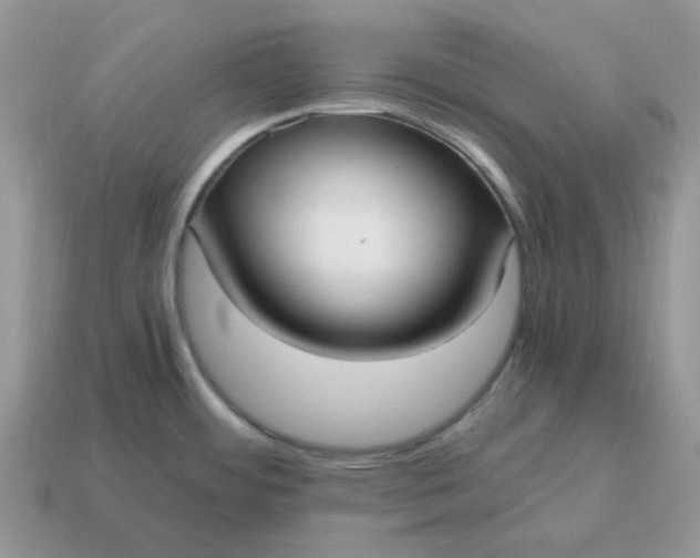 X0000114601484200911091307