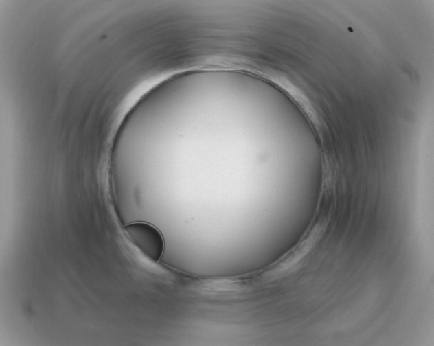 X0000114601486200911091307