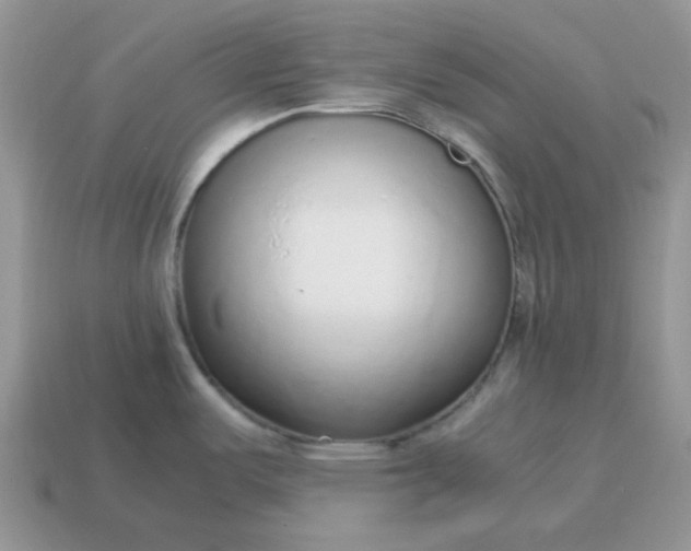 X0000114601487200911091307