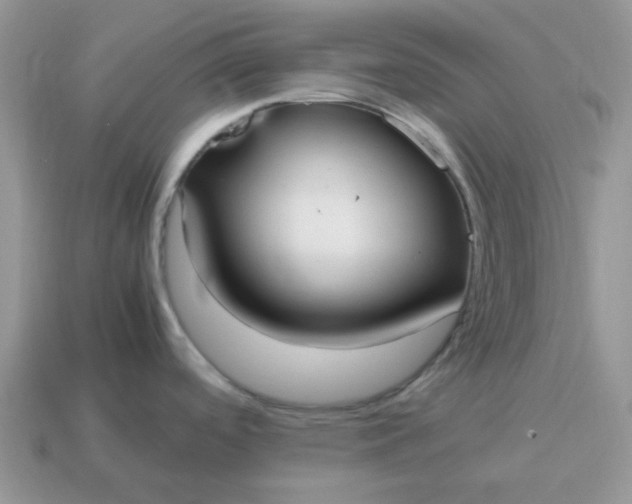 X0000114601488200911091307