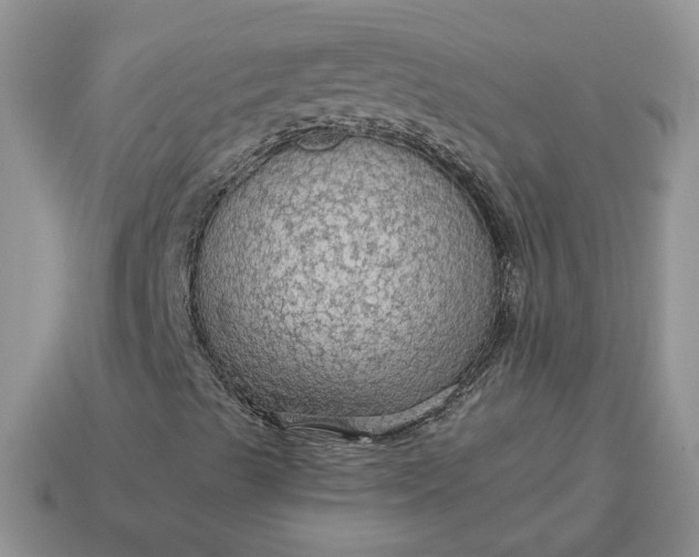 X0000114601489200911091306