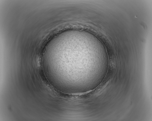 X0000114601490200911091306