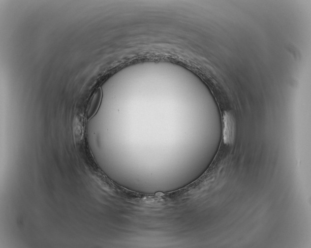 X0000114601491200911091306