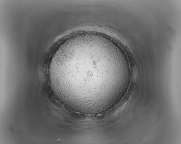 X0000114601494200911091306