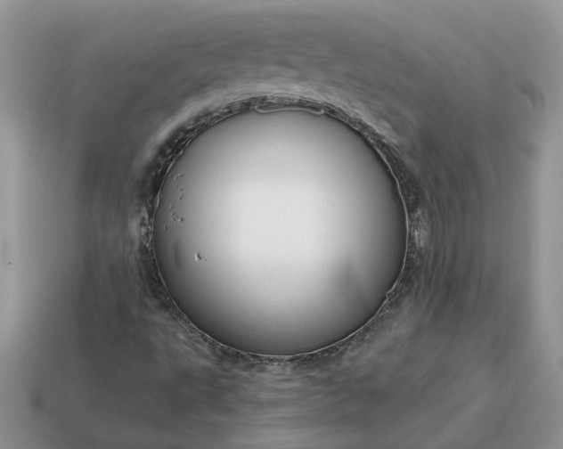 X0000114601495200911091306