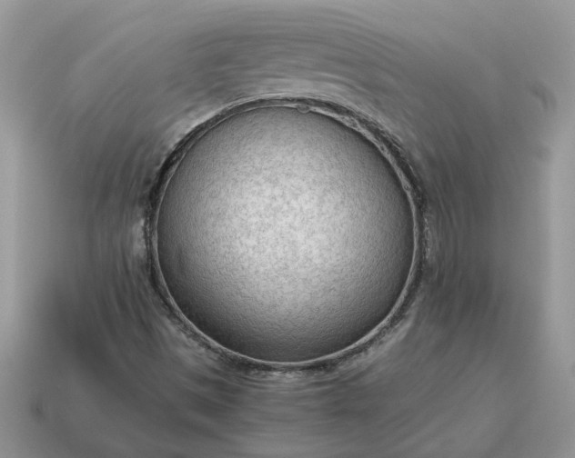 X0000114601497200911091306