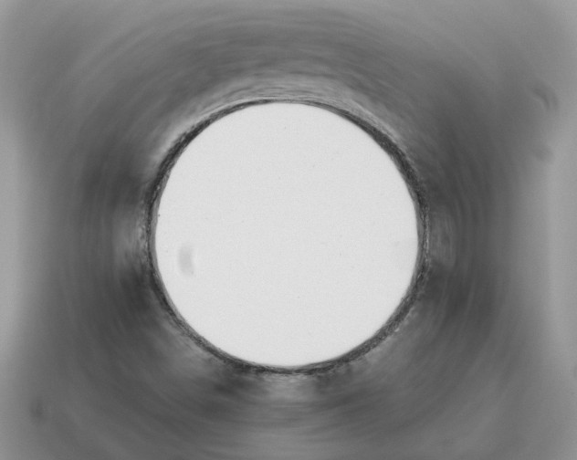 X0000114601498200911091306