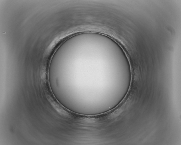 X0000114601499200911091306