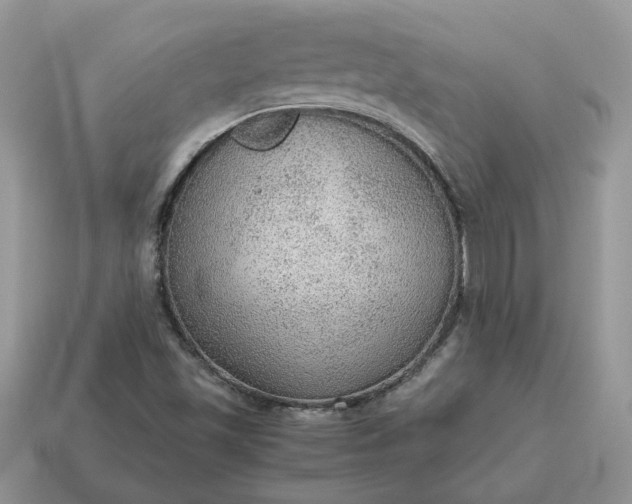 X0000114601501200911091306