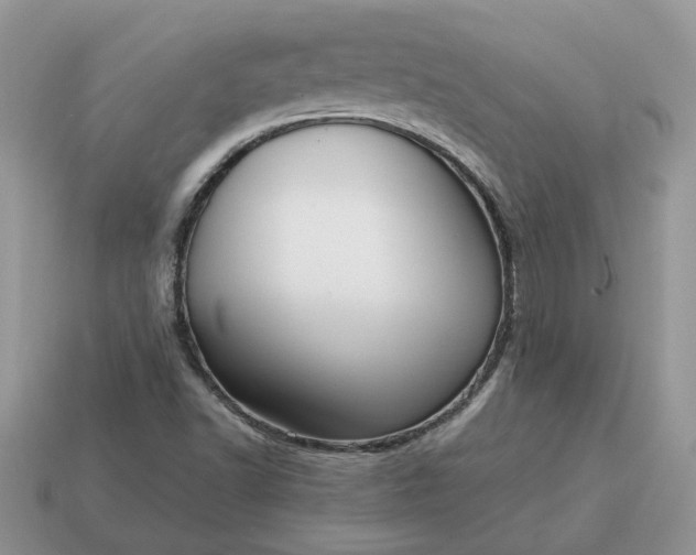 X0000114601502200911091306