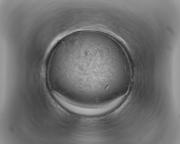 X0000114601506200911091306