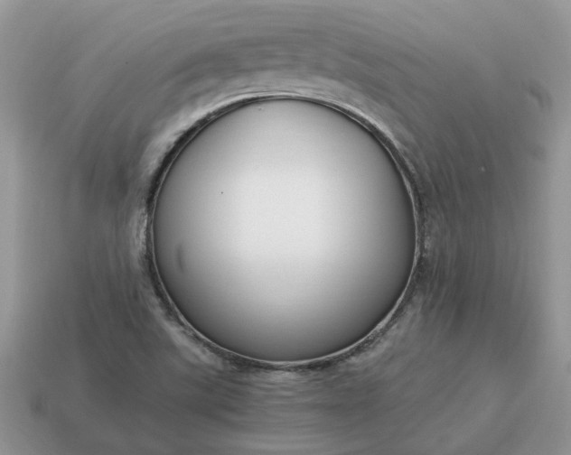 X0000114601507200911091306