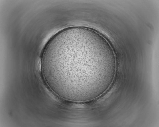 X0000114601509200911091307