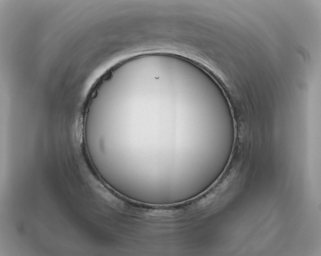 X0000114601510200911091307