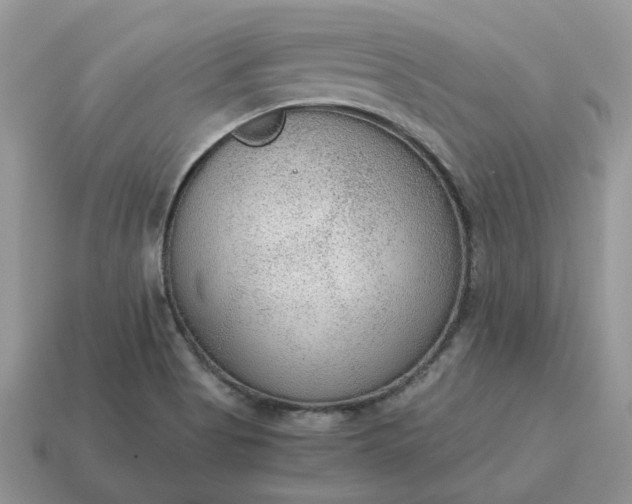 X0000114601513200911091307