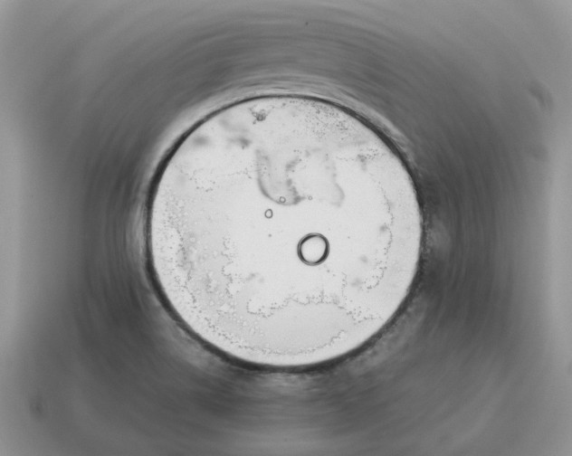 X0000114601514200911091307