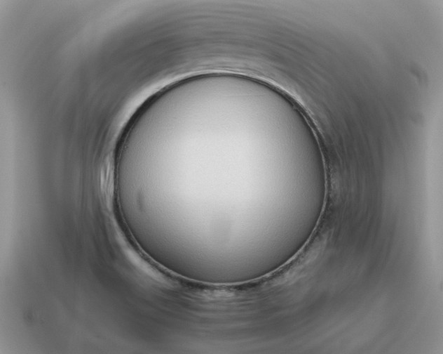 X0000114601515200911091307