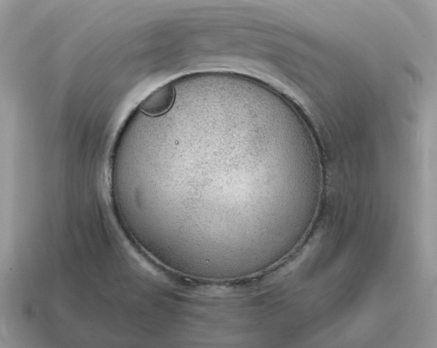 X0000114601517200911091307