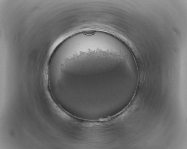 X0000114601522200911091307