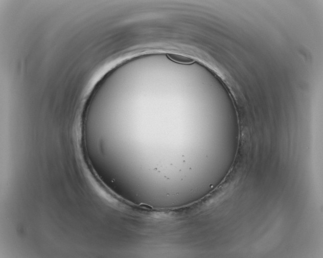 X0000114601523200911091307