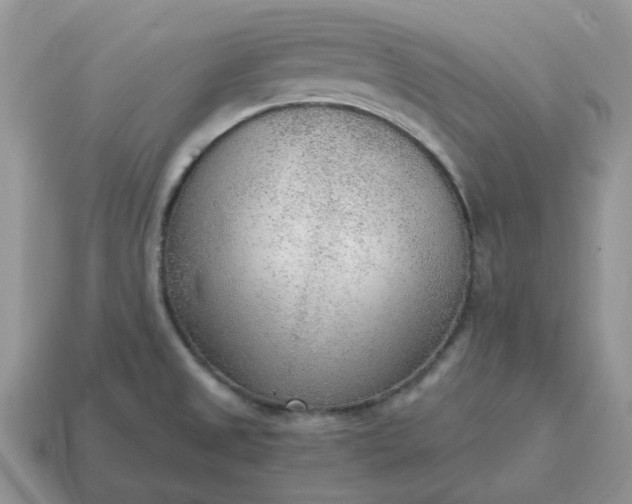 X0000114601525200911091307