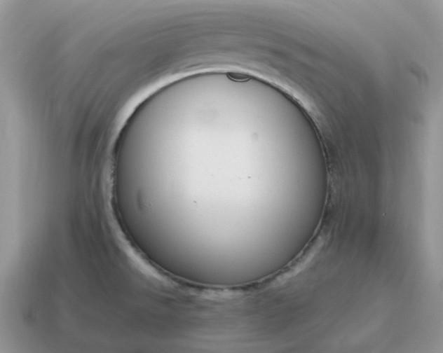 X0000114601526200911091307