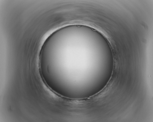 X0000114601527200911091307