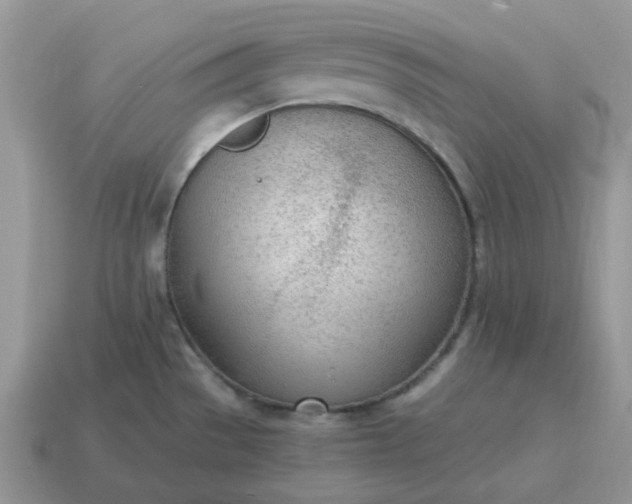 X0000114601529200911091307