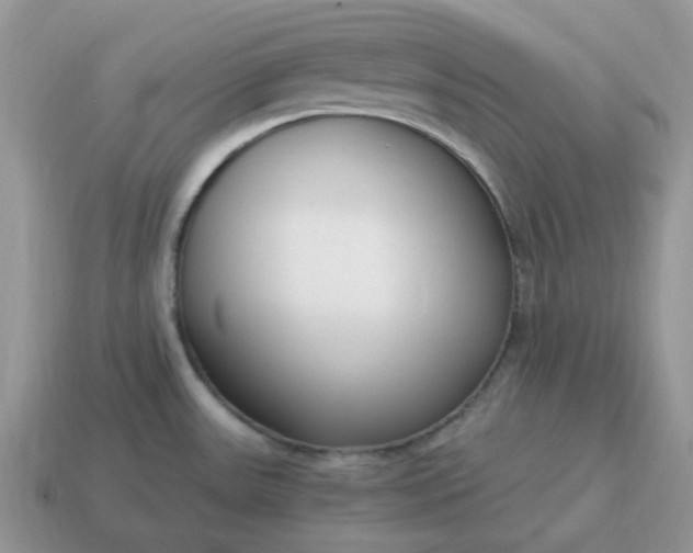 X0000114601531200911091307