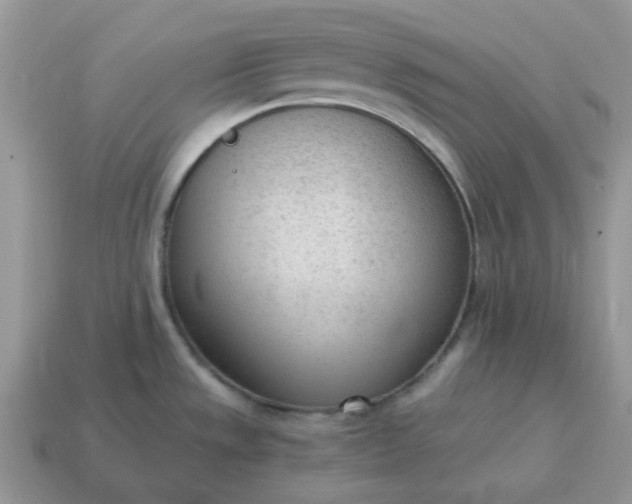 X0000114601533200911091307