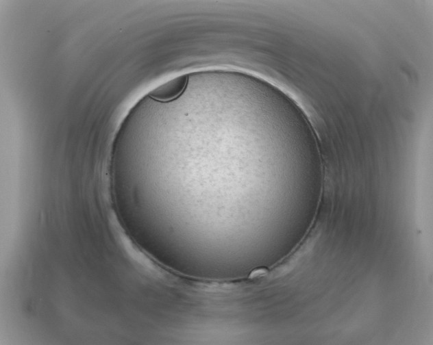 X0000114601534200911091307