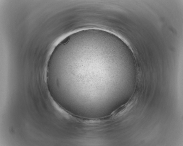 X0000114601535200911091307