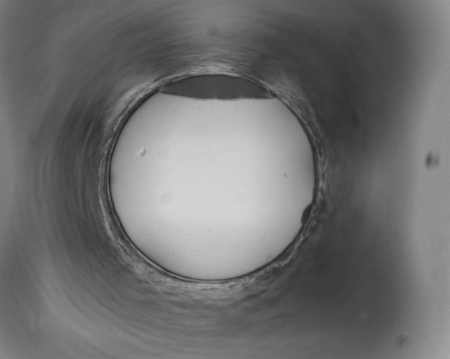 X0000114600001200911161406