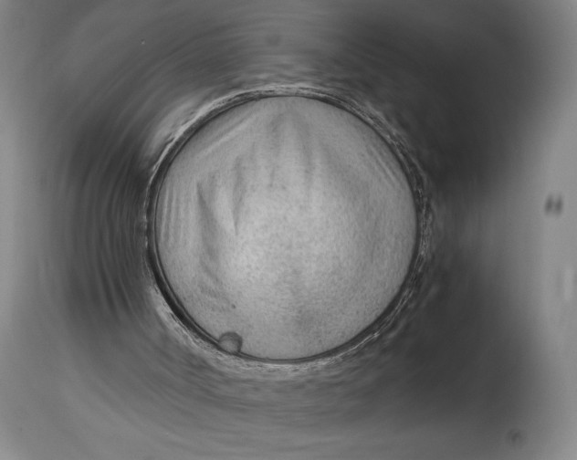 X0000114600002200911161406