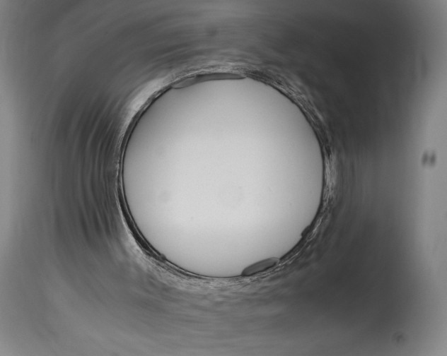 X0000114600003200911161405