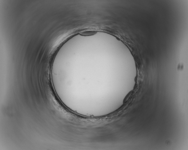 X0000114600005200911161405