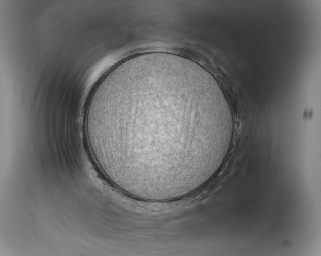 X0000114600006200911161405