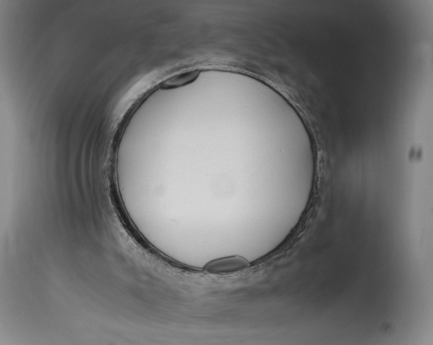 X0000114600007200911161405