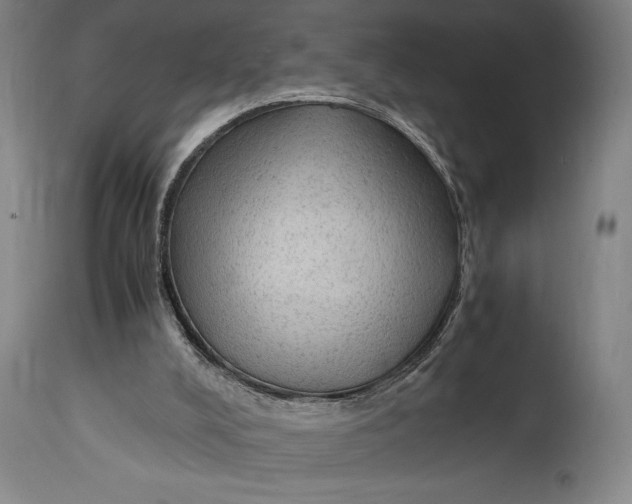 X0000114600008200911161405