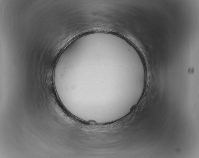 X0000114600009200911161405