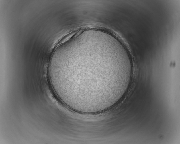 X0000114600010200911161405