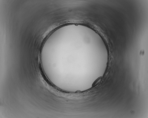 X0000114600011200911161405