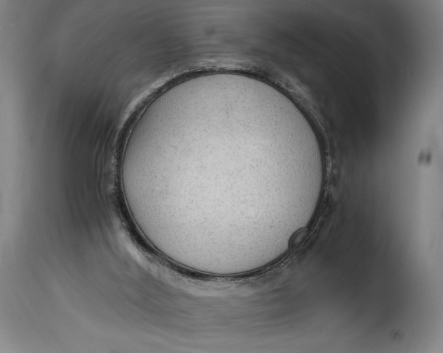 X0000114600012200911161405