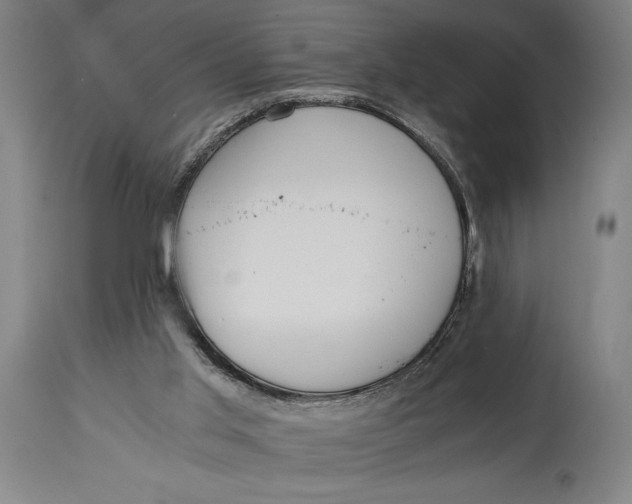 X0000114600013200911161405