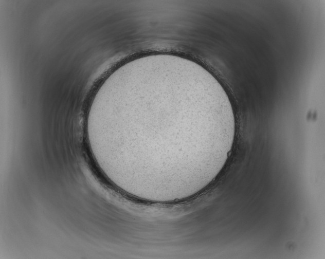 X0000114600016200911161405