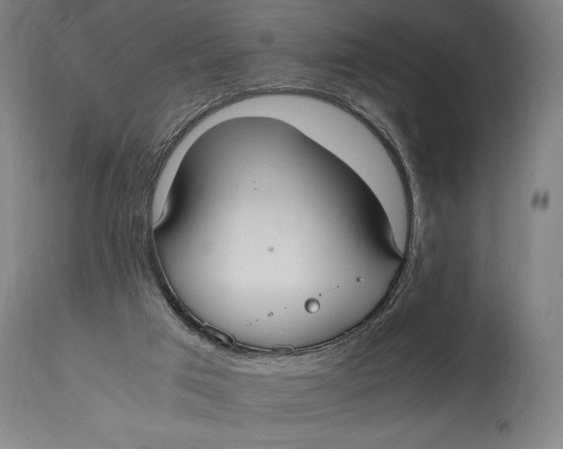 X0000114600017200911161405