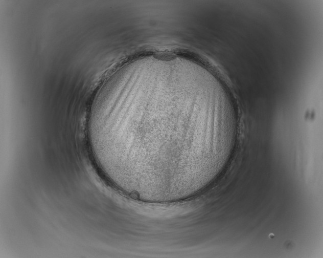 X0000114600018200911161405