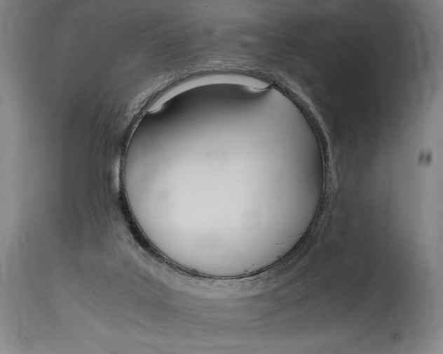 X0000114600019200911161405