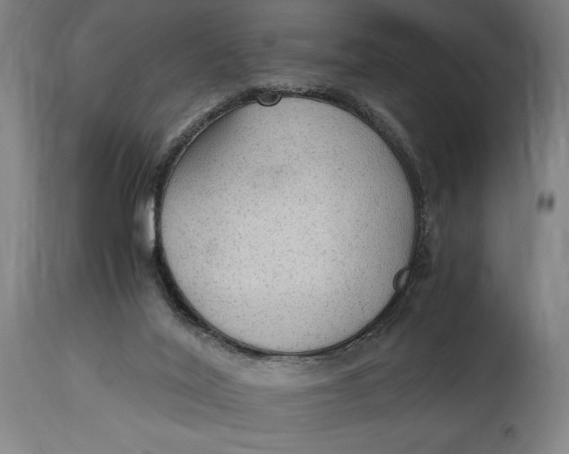 X0000114600020200911161405